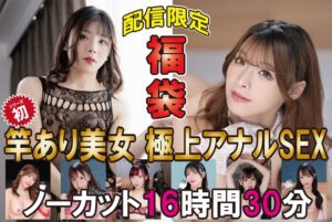福袋 竿あり美女 極上アナルSEX ノーカット16時間30分[h_1133totk01001]
