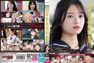 電車生姦制裁 ＃008[ydns00008]